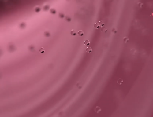 Dr. Javier Saldaña: Let ‘s talk about Vaginal Surgeries. What, when and why.